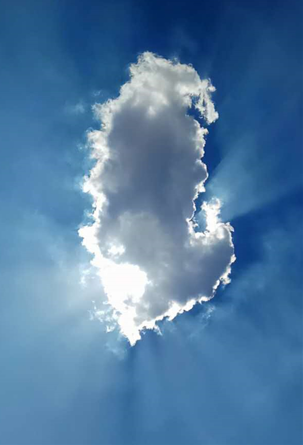 1497841064799736kZIt.jpg 美的不像樣.jpg