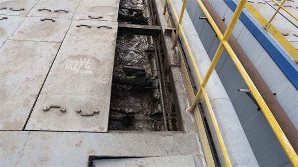 1646099725266286iDR4.jpg 3.jpg